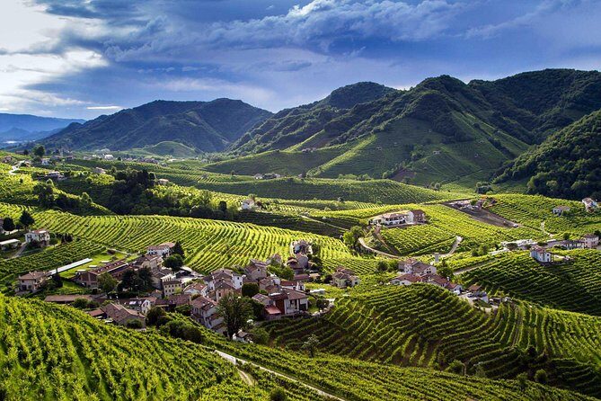 From Venice : Wine and Food tour in the Prosecco Hills - Who Is This Tour Best Suited For?