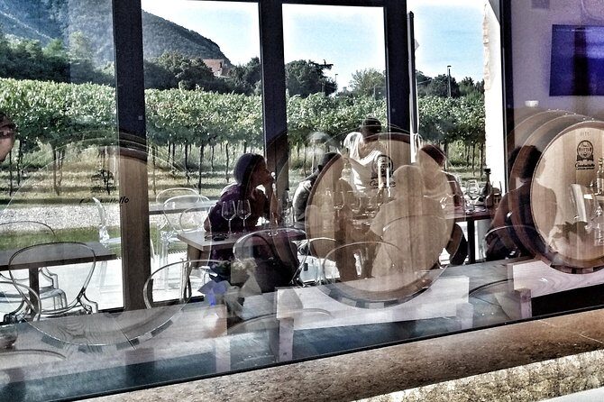 From Venice: Wine Tour in the Euganean Hills - What’s Included and What’s Not