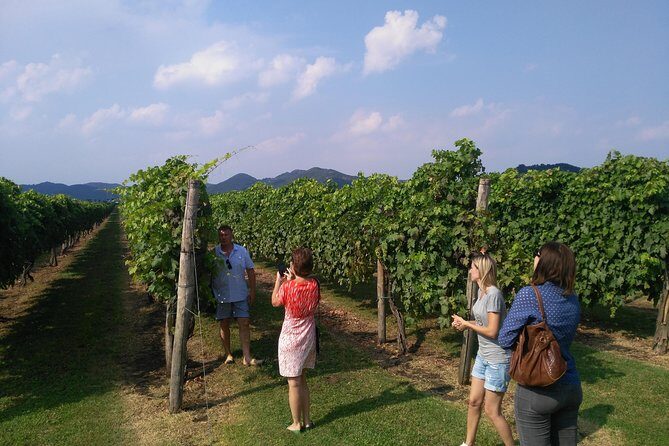 From Venice: Wine Tour in the Euganean Hills - Who Is This Tour Best For?