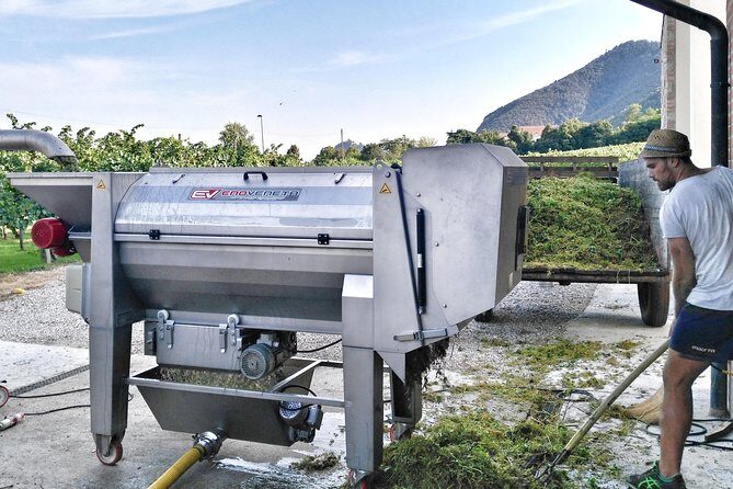 From Venice: Wine Tour in the Euganean Hills - FAQs