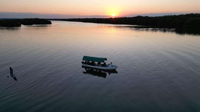 From Veracruz: Nature & Seafood Boat Tour to Madinga - Final Thoughts: Is This Tour Right for You?