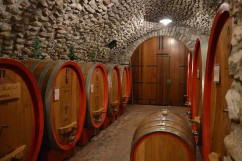 From Verona: Amarone Half-Day Wine Tasting Tour - The Tasting Experience