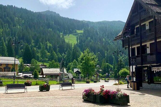 From Verona area: Private day trip to the Dolomites - Key Points