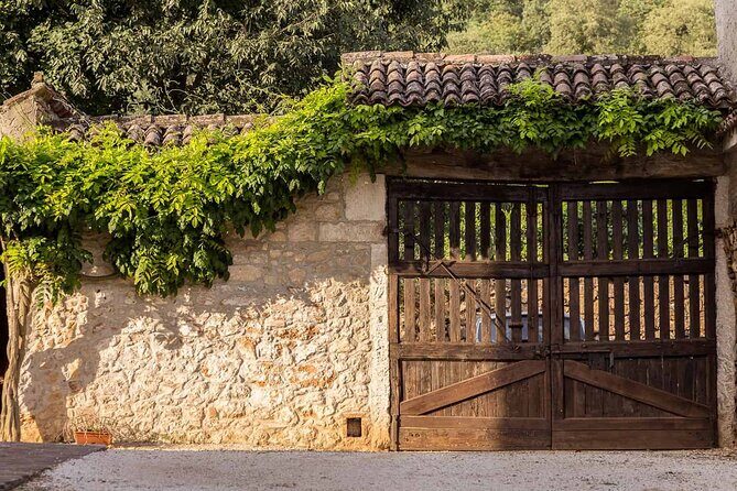 From Verona: Prosecco & Classic method sparkling wine tour, with light lunch - Final Thoughts