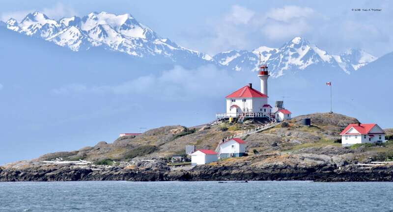From Victoria: Whale Watching Tour by Zodiac Boat - Frequently Asked Questions