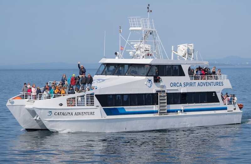 From Victoria: Whale Watching Trip on Covered Boat - Who Is This Tour Best For?