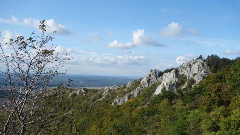 From Vienna: Bratislava & Countryside Guided Half Day Tour - The Practical Side: Whats Included and Whats Not