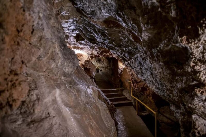 From Vienna: Bratislava & Countryside Guided Half Day Tour - FAQ