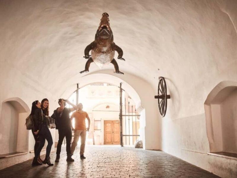 From Vienna: Brno Castles and Vineyards Day Trip - The Itinerary in Detail