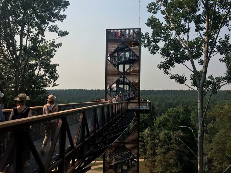 From Vilnius: Anykiai & The Hill of Crosses Day Trip - Honest Insights from Reviews