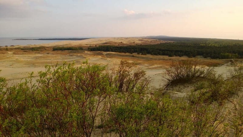 From Vilnius: Day Trip to Curonian Spit National Park - Final Thoughts: Is This Tour Worth It?