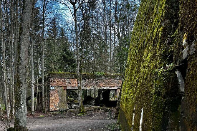 From Vilnius: Private Day Tour to Wolfs Liar (Hitler's bunker) - FAQ