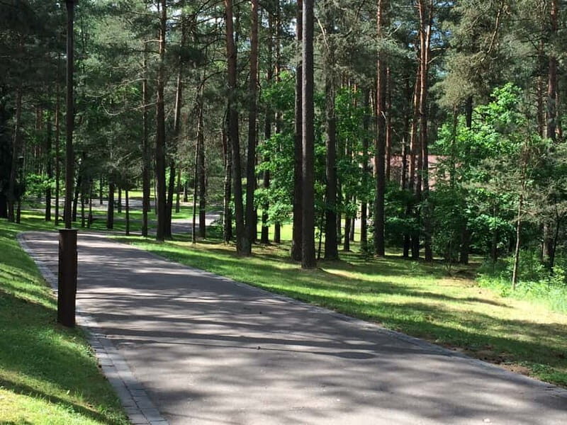 From Vilnius: Trakai Castle and Paneriai Memorial Tour - Authenticity and Review Highlights