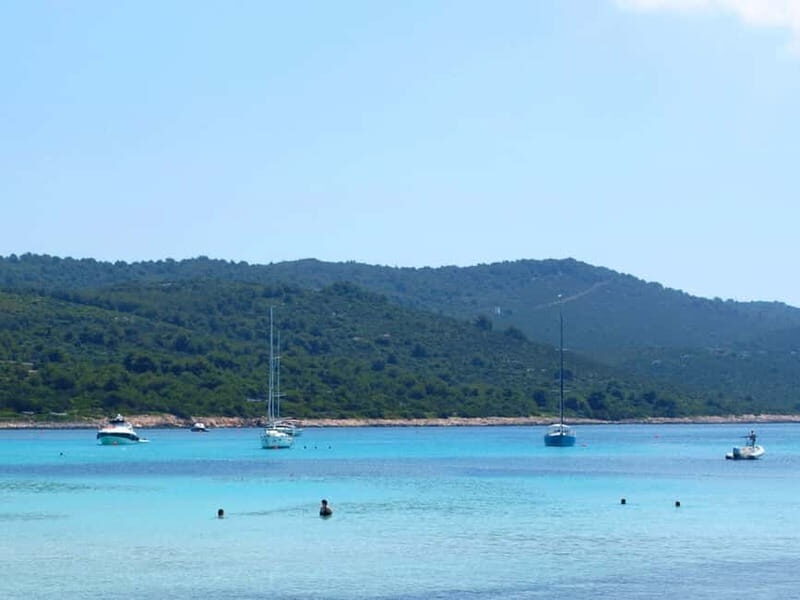 From Vir: Full-Day Guided Trip to Sakarun Beach - The Sum Up