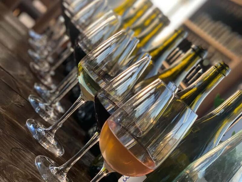 From Vlora: Zvernec, Apollonia & Wine Tasting Day Tour - Final Thoughts