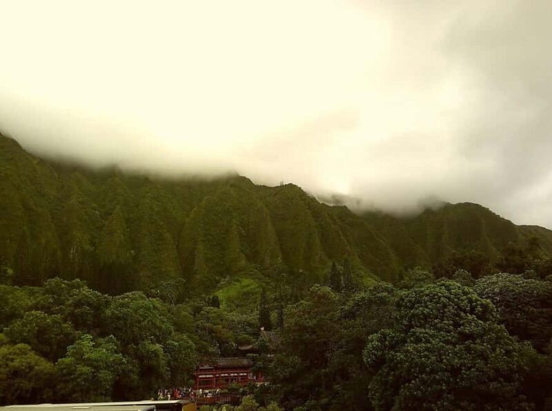 From Waikiki: Hawaii Grand Circle Island Tour - What Makes This Tour Stand Out?