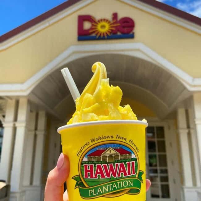 From Waikiki: Oahu Circle Island Tour - Key Points