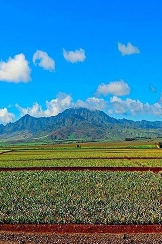 From Waikiki: Oahu Grand Circle Island Experience - What the Tour Includes and Excludes