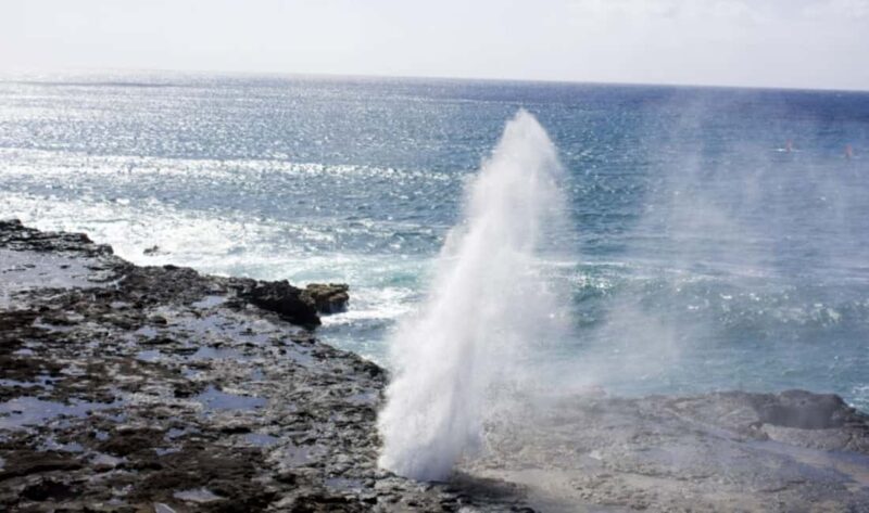 From Waikiki: Oahu Scenic Half-Day Circle Island Tour - Why This Tour Offers Good Value