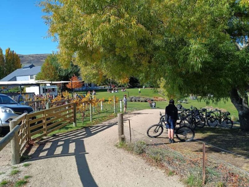 From Wanaka - Bike the Dunstan Trail with shuttle return - Key Points
