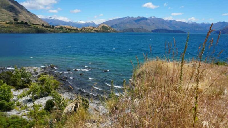 From Wanaka: Ruby Island 1-Hour Cruise and Photo Walk - What to Expect on the Ruby Island Cruise and Walk