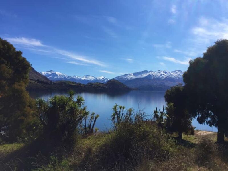 From Wanaka: Ruby Island 1-Hour Cruise and Photo Walk - Is This Tour Worth It?