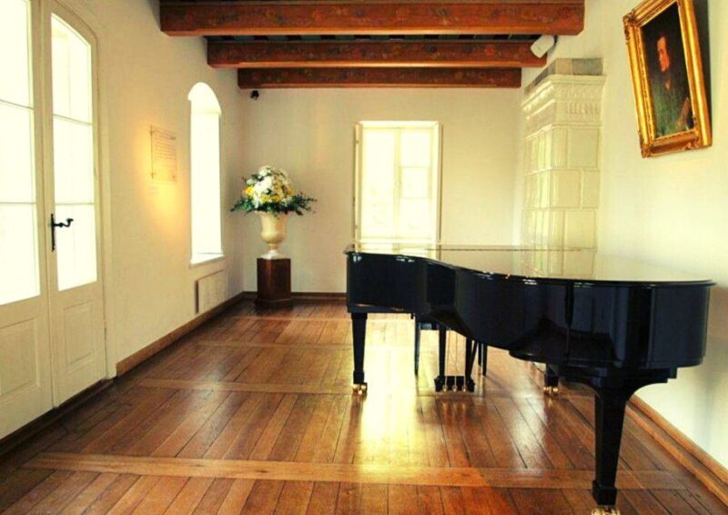 From Warsaw: Chopin & Masovian Country 1-Day Tour with Lunch - Who Is This Tour Best For?