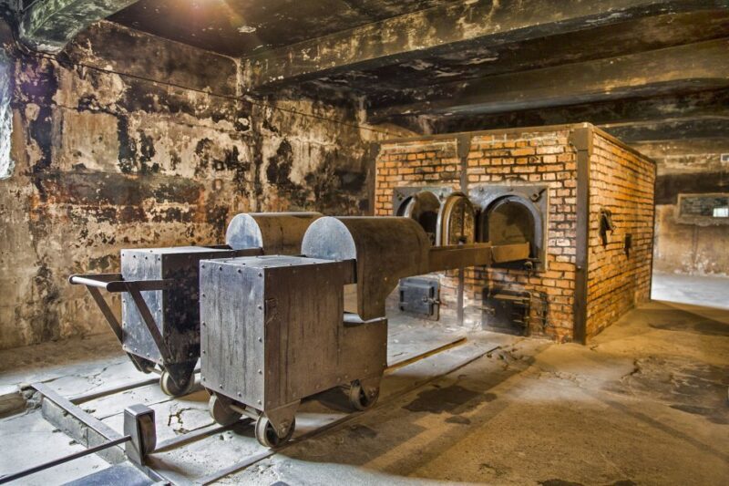 From Warsaw: Guided Tour to Auschwitz-Birkenau and Krakow - Who Should Consider This Tour?