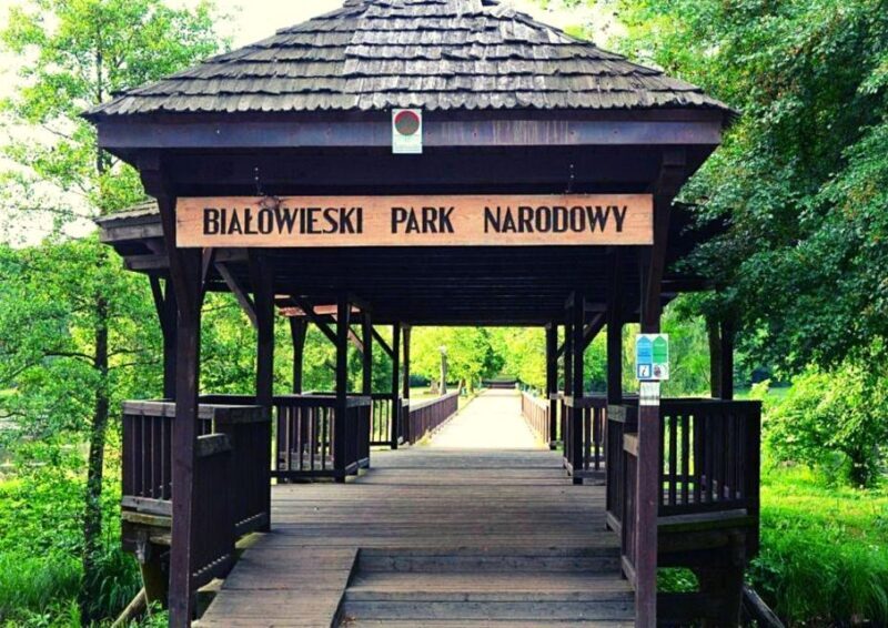 From Warsaw: Small-Group Tour to Bialowieza National Park - In The Sum Up: Is This Tour Right for You?