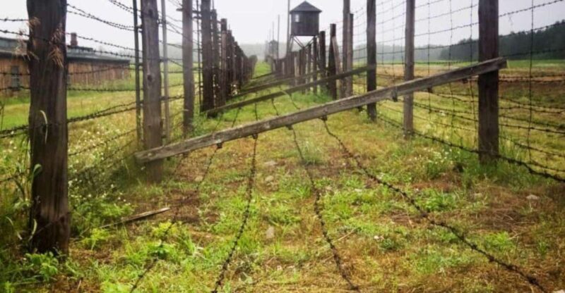 From Warsaw: Tour to Majdanek Concentration Camp and Lublin - Who Should Consider This Tour?