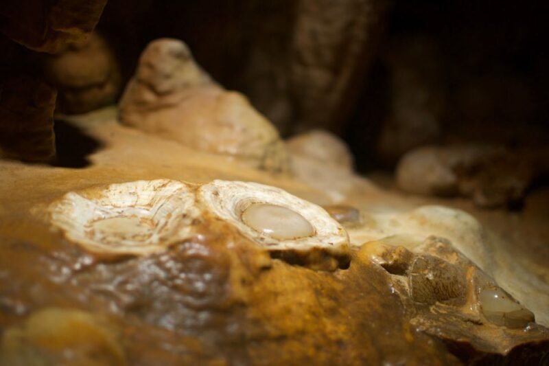 From Washington DC: Day Trip to Luray Caverns - A Closer Look at the Day Trip to Luray Caverns