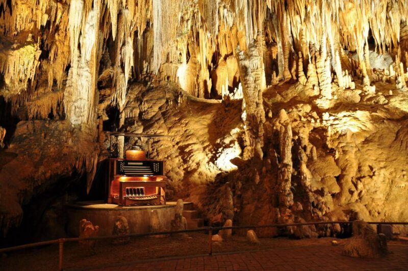 From Washington DC: Day Trip to Luray Caverns - Perfect for Who?