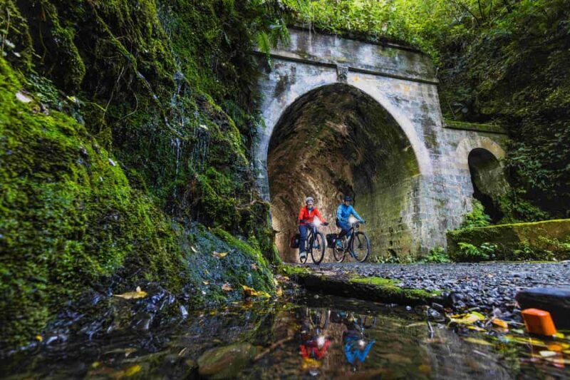 From Wellington: Remutaka Rail Trail eBike Tour - What Guests Are Saying