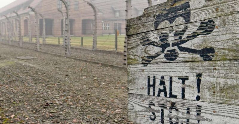 From Wrocaw: Full-Day Auschwitz-Birkenau Guided Tour - What to Expect from This Tour
