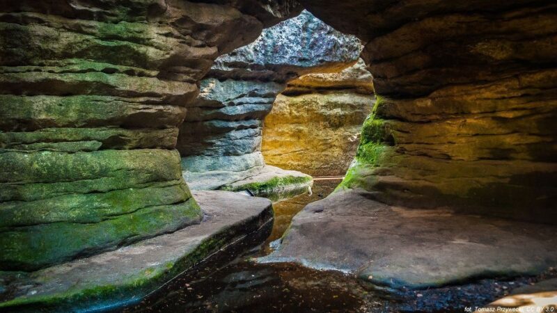 From Wroclaw: Full-Day Stolowe Mountains Trekking Tour - The Sum Up