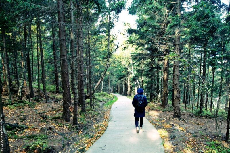 From Wroclaw: Full-Day Stolowe Mountains Trekking Tour - FAQ