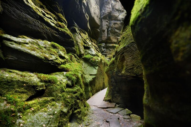 From Wroclaw: Hiking Trail in Rock City Adrspach - What to Expect During the Tour