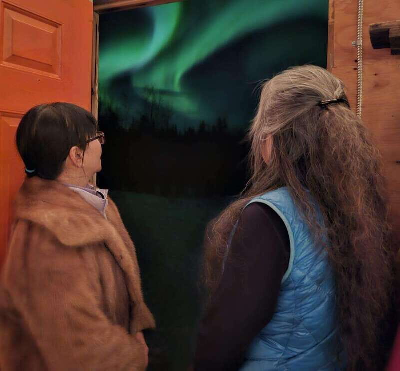 From Yellowknife: Aurora Borealis Tour with Cozy Cabin Base - What to Expect from the Tour