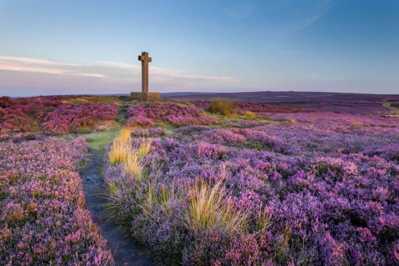 From York: Day Trip to Whitby and The North York Moors - A Deep Dive into the Experience