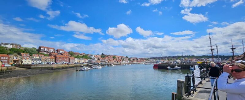 From York: North Yorkshire Moors, Villages & Whitby Day Tour - Who Would Love This Tour?