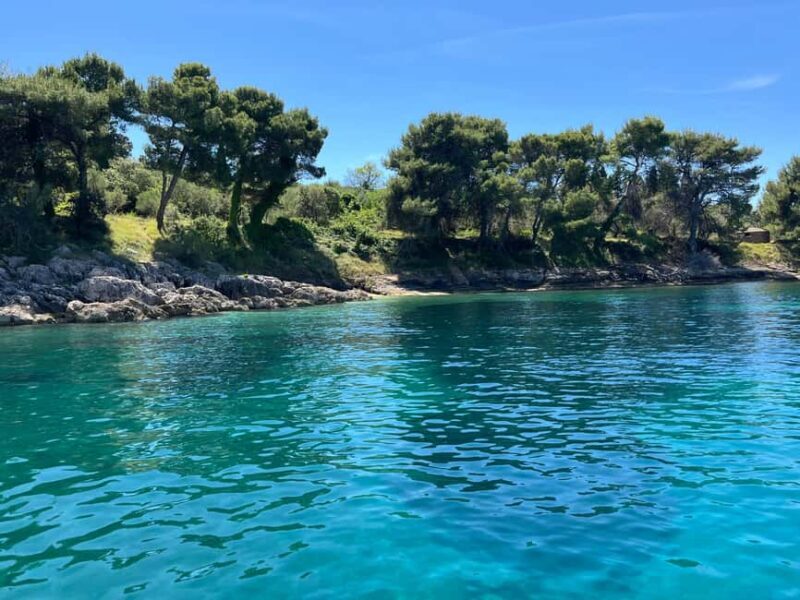 From Zadar: 3 magical stops with a cold drink - Who Is This Tour Perfect For?