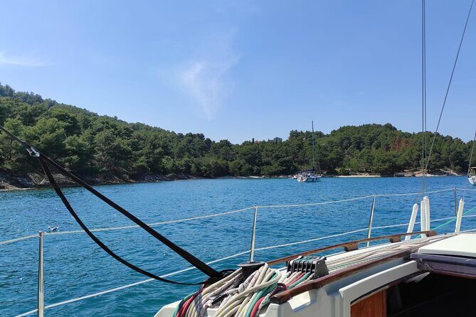 From Zadar: Half day sailing tour - How Does It Compare in Value?
