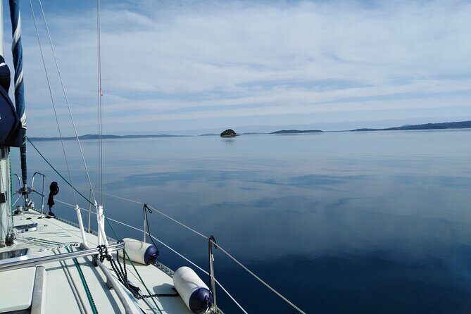 From Zadar: Half day sailing tour - Who Is This Tour Best For?