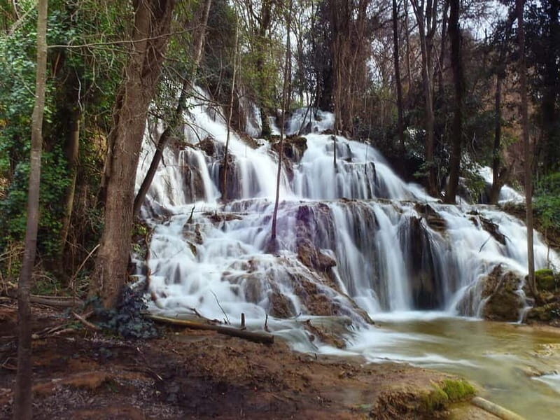 From Zadar: Krka National Park Full-Day Tour from Zadar - Exploring Krka: What to Expect from the Tour