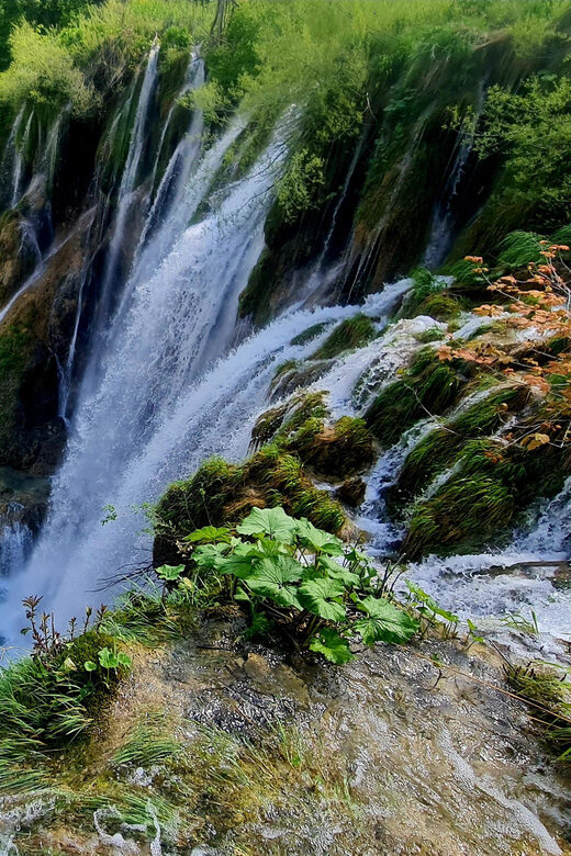 From Zadar: Plitvice Lakes Day Trip with Guide and Boat Tour - What to Expect on the Day Trip