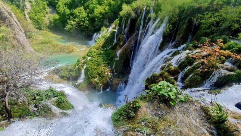 From Zadar: Plitvice Lakes Day Trip with Guide and Boat Tour - Who Should Consider This Tour?