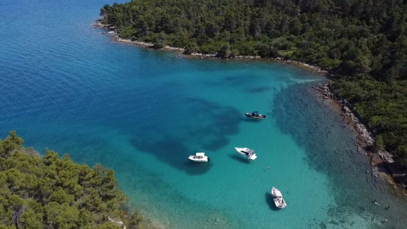 From Zadar: Ugljan, Galevac and Oljak Islands Boat Tour - Introduction