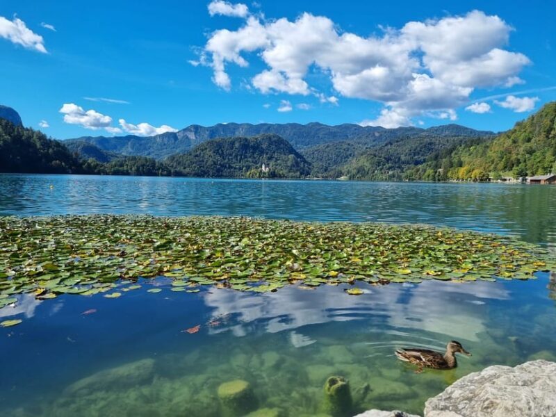 From Zagreb: Exclusive private Day Tour to Bled & Ljubljana - FAQs