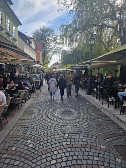 From Zagreb: Ljubljana and Lake Bled Private Day Tour - Exploring Ljubljana’s Charm