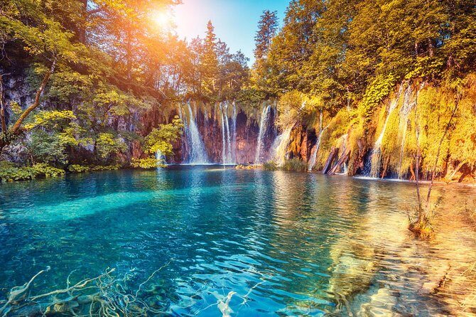 From Zagreb: Plitvice lakes guided tour - What the Reviews Say: Real Traveler Insights